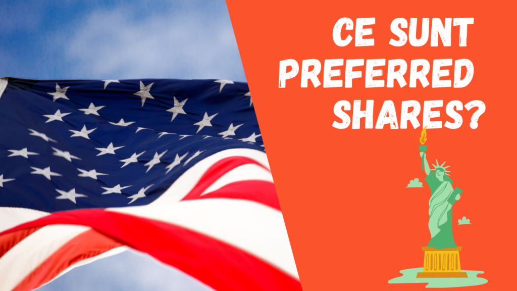 Ce sunt preferred shares?